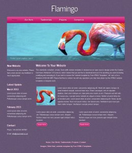 flamingo